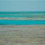 Hardy Reef