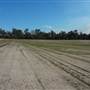 Jimboomba Turf Farm