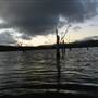 Lake Tinaroo