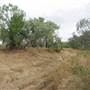 Longreach Landscape