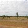 Longreach Landscape