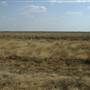 Longreach Landscape