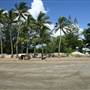 Midge Point Beach