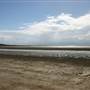 Midge Point Beach