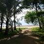 Midge Point Beach