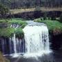 Millstream Falls (FNQ)