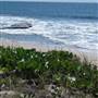Mooloolaba - Beach