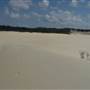 Mulgumpin (Moreton Island) - The Desert
