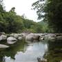 Mossman Gorge