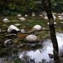 Mossman Gorge