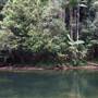 Mossman Gorge