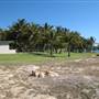 Bowen - Murrays Bay