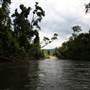 Mulgrave River (Cairns Region)