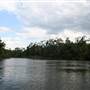 Mulgrave River (Cairns Region)