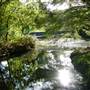 Japanese Garden, Mt Coot-tha Botanical Gardens