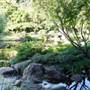 Japanese Garden, Mt Coot-tha Botanical Gardens