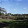 New Farm Park