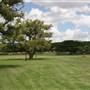 New Farm Park