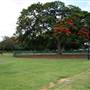 New Farm Park
