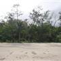 Port Douglas Region - Noah Beach