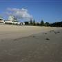 Nobby Beach and Headland
