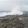 Noosa Cliffs
