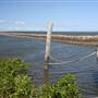 Oyster Point