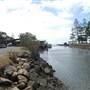Oyster Point