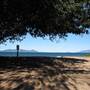 Picnic Bay (Magnetic Island)