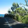 Picnic Bay (Magnetic Island)