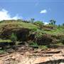 Port Douglas - Headland