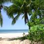 North Palm Cove to Ellis Beach