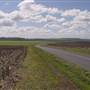 Wheat Fields