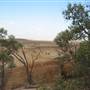 Rangelands Station
