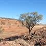 Rangelands Station