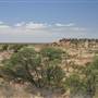 Rangelands Station