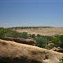 Rangelands Station