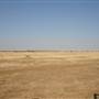 Rangelands Station