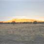Rangelands Station