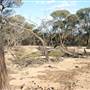 Rangelands Station