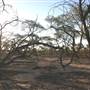 Rangelands Station