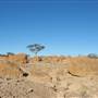 Rangelands Station