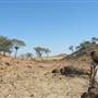 Rangelands Station