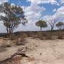 Rangelands Station