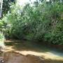 Mission Beach (Cairns Region FNQ)