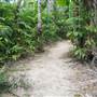 Mission Beach (Cairns Region FNQ)