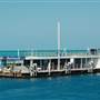 Hardy Reef (Reefworld Plantoon)