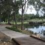 Gold Coast Regional Botanic Gardens - Rosser Park