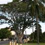 Sandgate