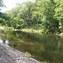 Silky Oaks Lodge - Mossman